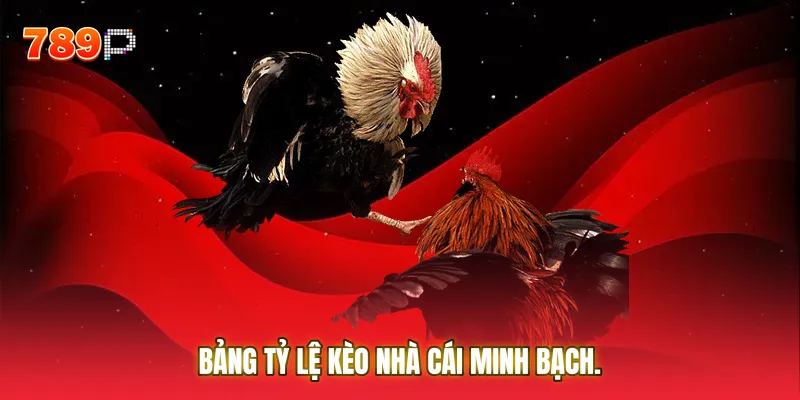 Bảng tỷ lệ kèo nhà cái minh bạch