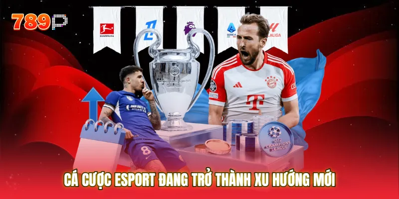 Cá cược Esport đang trở thành xu hướng mới