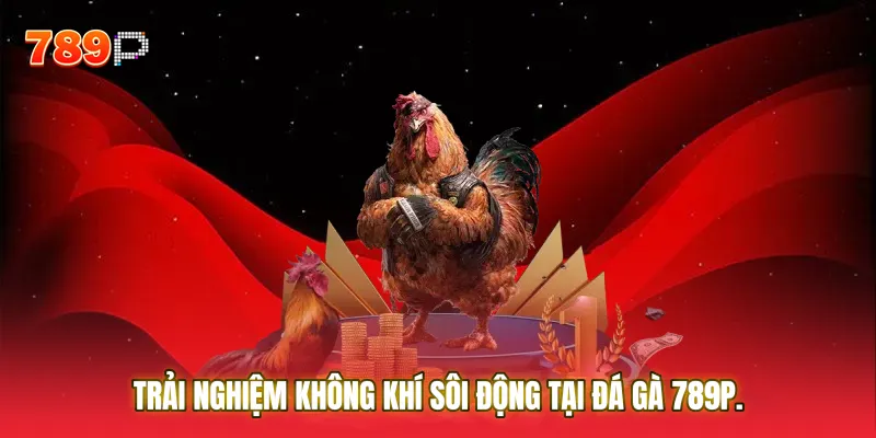 Trải nghiệm không khí sôi động tại Đá gà 789P